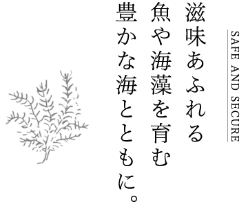 滋味あふれる魚や海藻を育む豊かな海とともに。